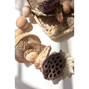 Dried Mixed Botanical Garland 2