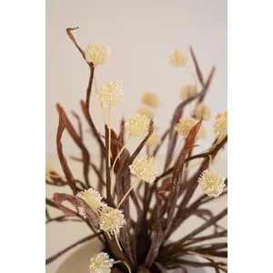 Botanica #2892 4