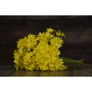 Yellow Lilac  Pick 13in 1