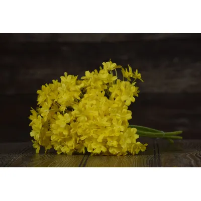Yellow Lilac  Pick 13in