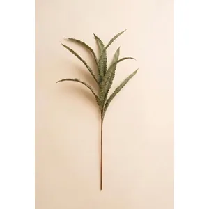 Botanica #9076 3