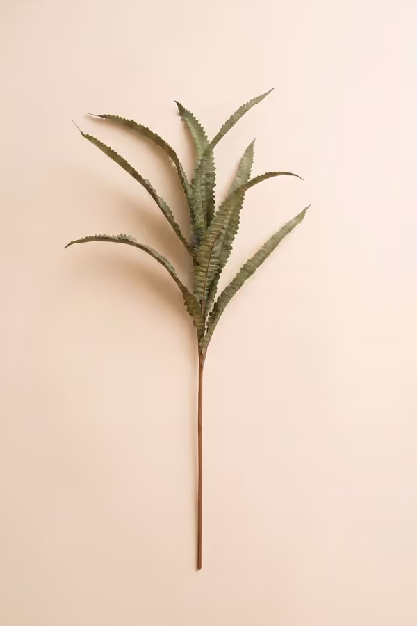 Botanica #9076