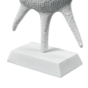 Marco Shell - Textured White 6