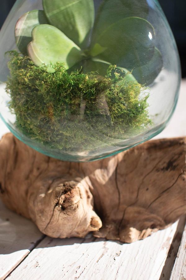Large Blown Glass Bowl on Driftwood Base