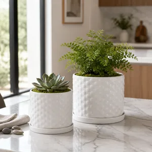 DECKERFORD SET OF 2 WHITE PLANTER 10 (IN) 12