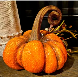 Autumn Curl Pumpkin 11x11x10in 2