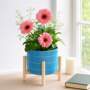 ALDERRUN BLUE PLANTER 9 (IN) 11