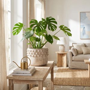 ROCKSIDE IVORY PLANTER 9 (IN) 2