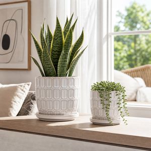 LEONAHAM SET OF 2 WHITE PLANTER 7 (IN) 11