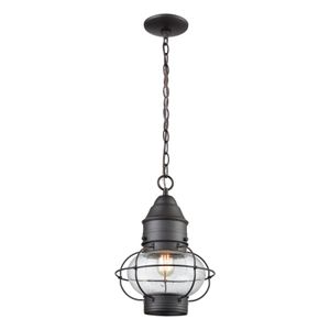 Onion 10'' Wide 1-Light Outdoor Pendant - Oil Rubbed Bronze 1
