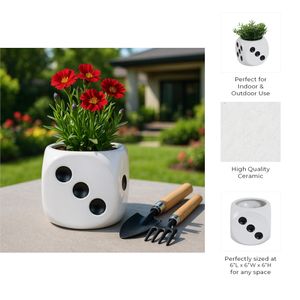 SYLVANWOOD WHITE PLANTER 6 (IN) 9