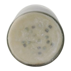 ISLEFORD JASMINE CANDLE 12 (IN) 8