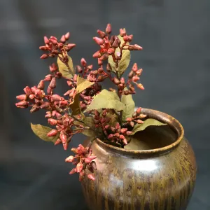 Red Wayfaring Stem 1