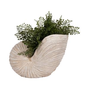 SELBYBEACH IVORY DECOR 14 (IN) 3
