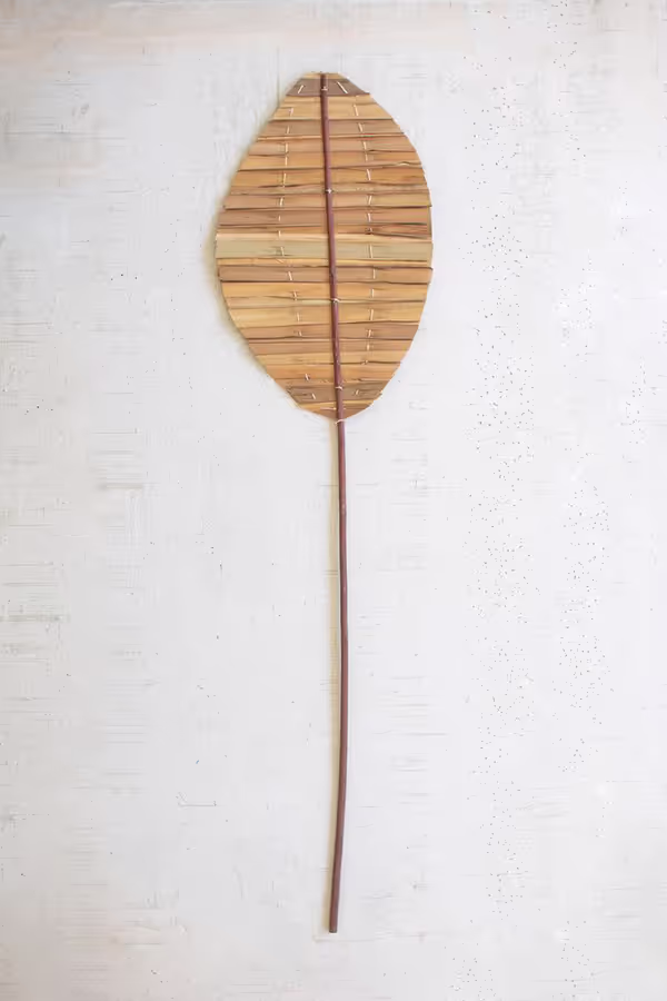 Tear Drop Natural Hogla Leaf with Stem