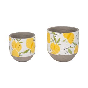 HATCHERGATE SET OF 2 YELLOW PLANTER 7 (IN) 1