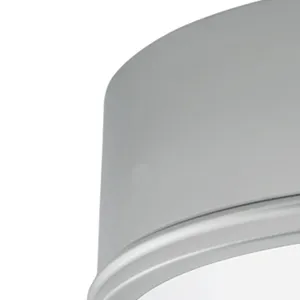Getty 12'' Wide 2-Light Flush Mount - Brushed Nickel 3