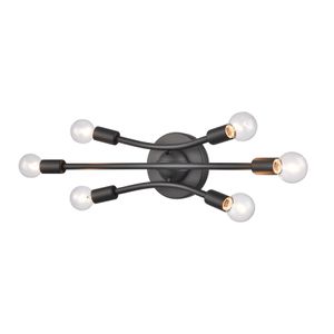 Xavier 19.75'' Wide 6-Light Vanity Light - Matte Black 3