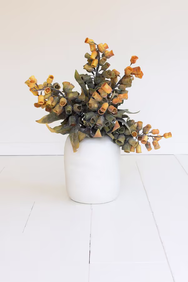 Botanica #2776