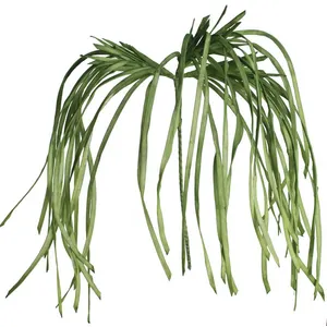 Botanica #2183 1
