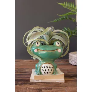 Ceramic Quirky Frog Planter 4