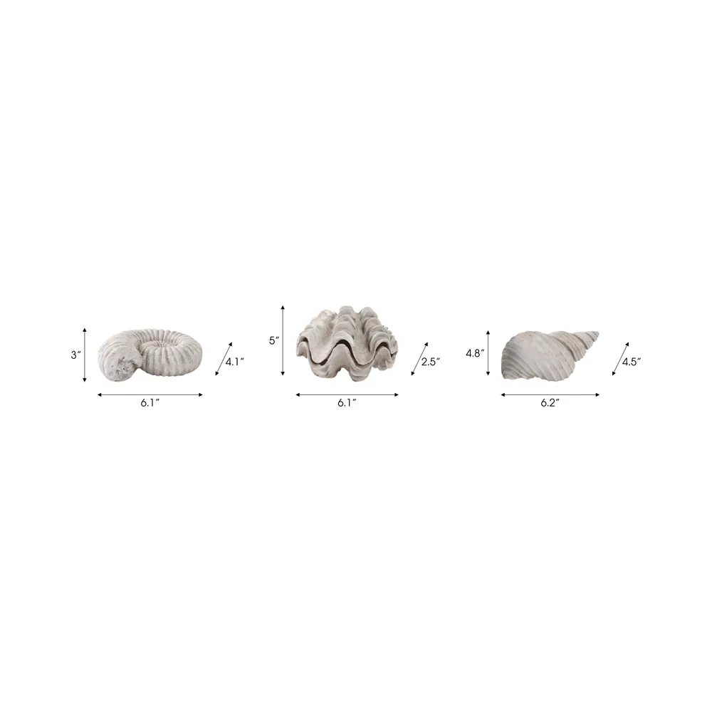 ETHANWICK SET OF 3 IVORY DECOR 5 (IN)