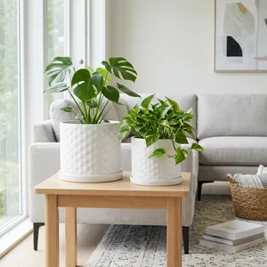 DECKERFORD SET OF 2 WHITE PLANTER 10 (IN) 2