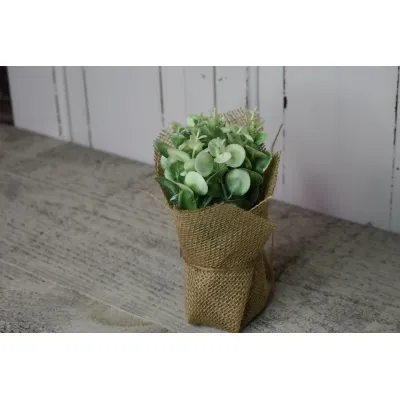Eucalyptus Sitter 8in