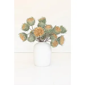Botanica #3700 2