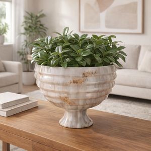 COHENPORT IVORY BOWL 9 (IN) 2