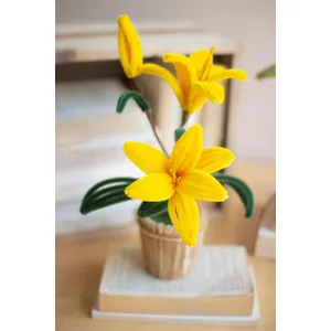 Set of 4 Pipe Cleaner Potted Flowers 7