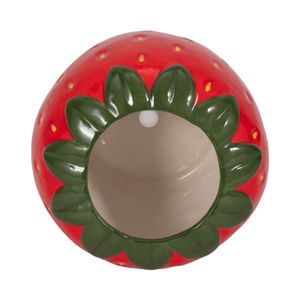 FINCHMOOR RED PLANTER 6 (IN) 6