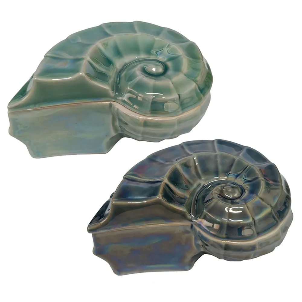 5-1/3" SEA SNAIL TRINKET BOX 2-ASST