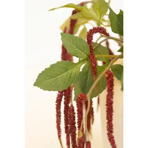 Artificial Crimson amaranthus Spray 4