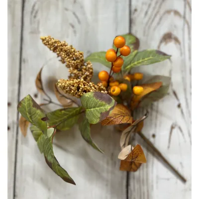 Fall Berries Pick