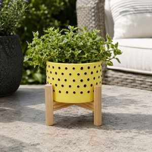 COLECREST YELLOW PLANTER 6 (IN) 13
