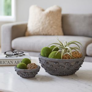 DAMIENPARK SET OF 2 BLACK BOWLS 5 (IN) 9