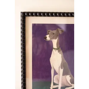 Set of 4 Framed Hound Prints under Glass 4
