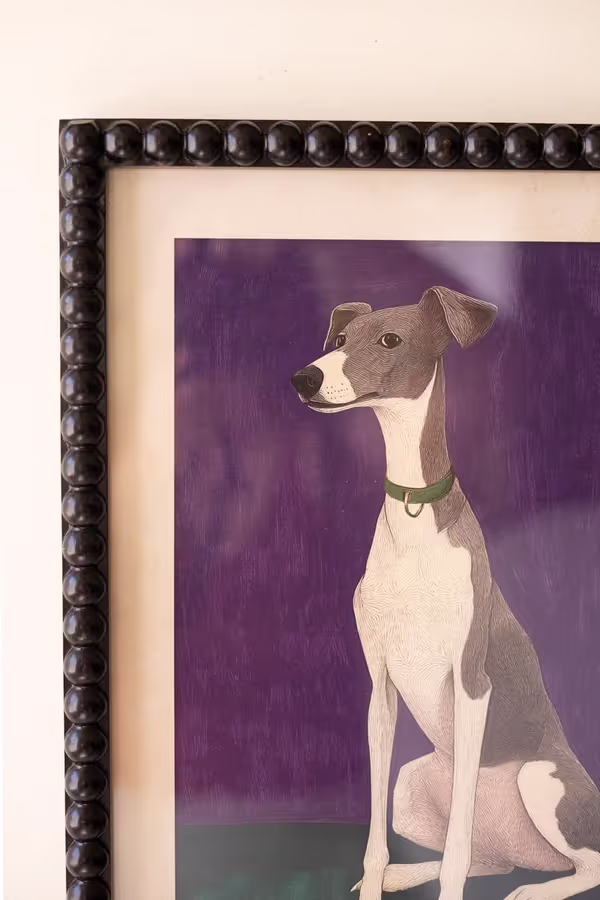 Set of 4 Framed Hound Prints under Glass