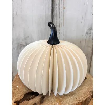 Large White Round Pumpkin 7.5x12in