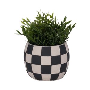 PAXTONSHAW BLACK PLANTER 5 (IN) 3