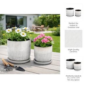 PEARLFIELD SET OF 2 SILVER PLANTER 6 (IN) 9