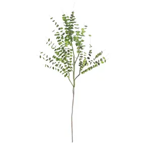 Botanica #850 1