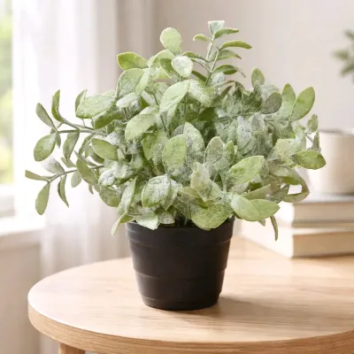 Thyme Pot 11in