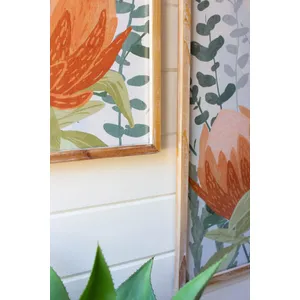 Set of 2 Framed Protea Prints Under Glass 3