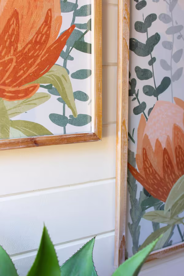 Set of 2 Framed Protea Prints Under Glass