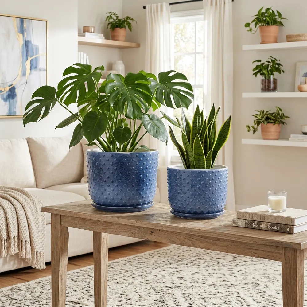 FIONAOAK SET OF 2 BLUE PLANTER 10 (IN)