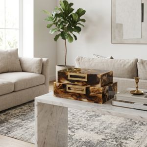 BYRONFIELD SET OF 2 BROWN BOXES 3 (IN) 2