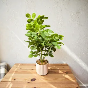 Greenhouse Glow Pot 19in 2