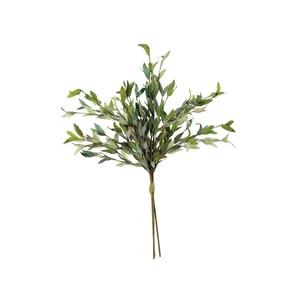 Botanica #2397 1